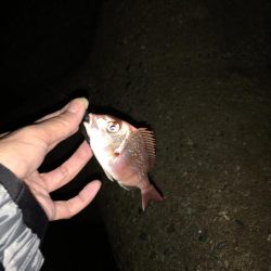 爆風ライトゲーム