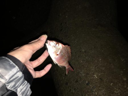 爆風ライトゲーム