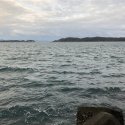 さごしとさわら