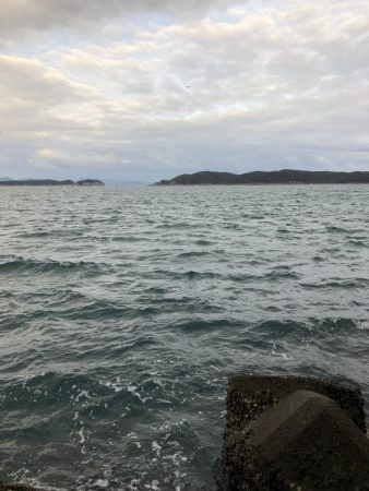 さごしとさわら