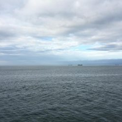 南風の中でヤツが来た