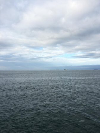 南風の中でヤツが来た