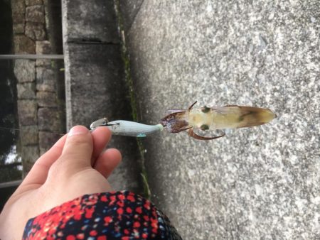 ヒイカ遠征釣行！！