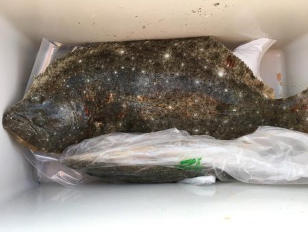 サーフでフラット狙い釣行