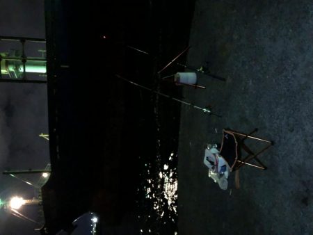 アナゴ→アジ→サバ