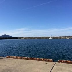 本命は釣れず！