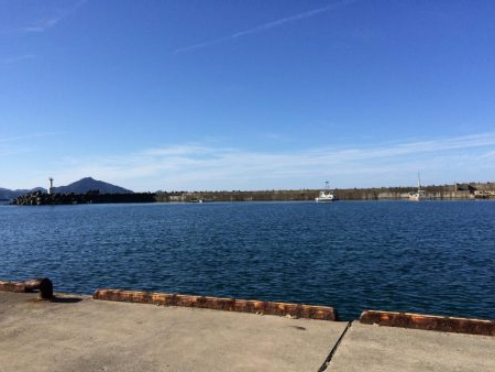 本命は釣れず！