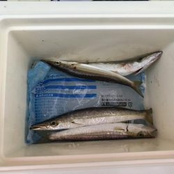 またまた来ました！