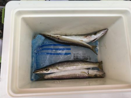 またまた来ました！