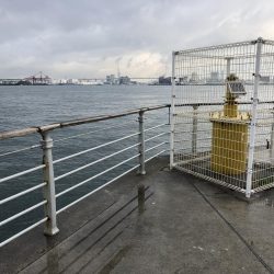 まだまだ遊べそう