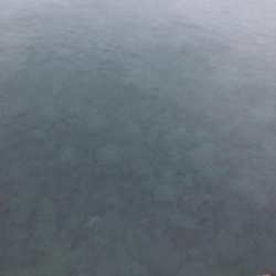 帰省釣行（水俣市）