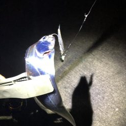 寒波が来る前に