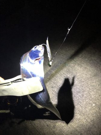 寒波が来る前に