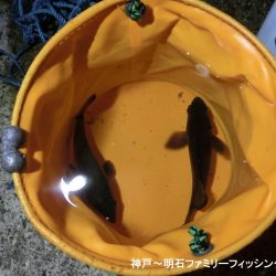 激寒の中何とかメバル