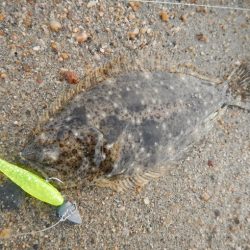 ワームを投げると…