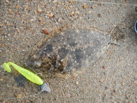 ワームを投げると…