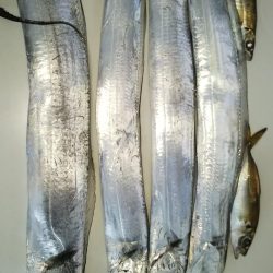 先週よりはマシか?