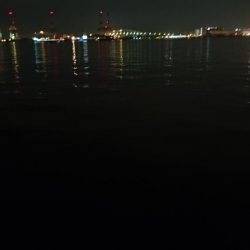 タチウオ釣れたらラッキーレベル