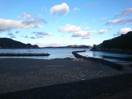 マゴチとアオリイカ