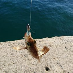 ライト・ワインド