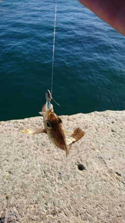 ライト・ワインド