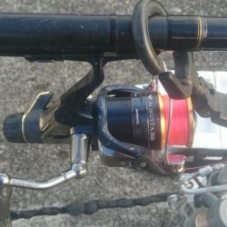 急に寒くなりましたが水温は、大丈夫そうです。