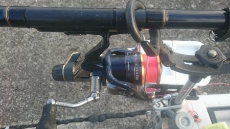 急に寒くなりましたが水温は、大丈夫そうです。