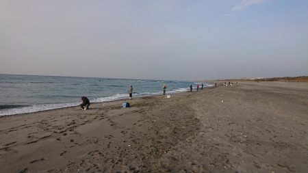 12月なのにキス爆釣