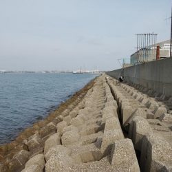 東二見水道で落ちギス釣り