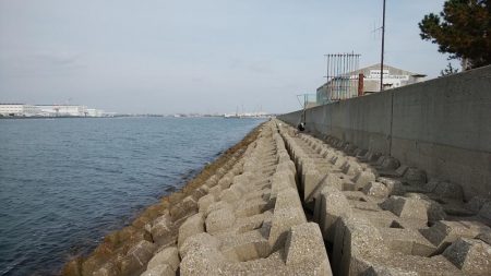 東二見水道で落ちギス釣り