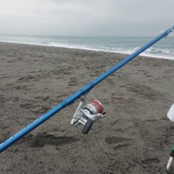 クリスマスでもキス