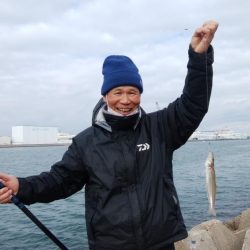 播磨新島・東二見水道共にキスが居ません