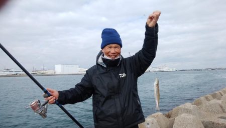 播磨新島・東二見水道共にキスが居ません