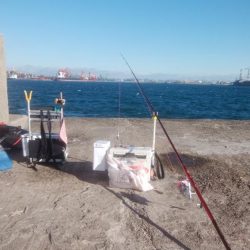 播磨新島のキス釣り