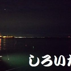タチウオ釣ってきた！