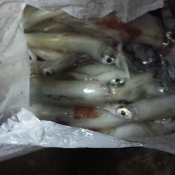 シーズン終了間際