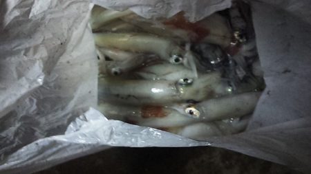 シーズン終了間際