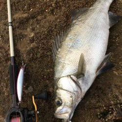 風が吹かないと…