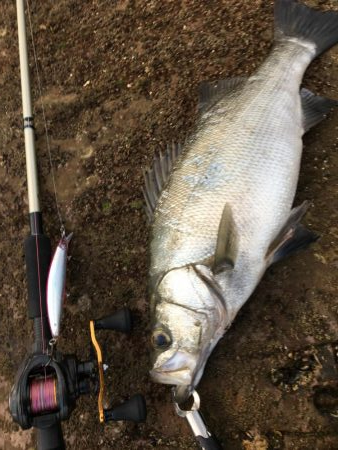 風が吹かないと…