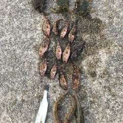 武豊緑地は平和