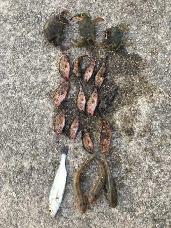 武豊緑地は平和