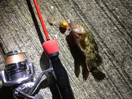 ひいか、たけのこめばる