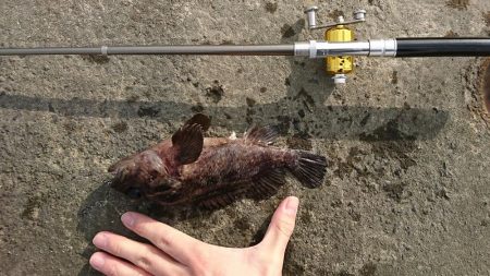 江井ヶ島漁港・江井ヶ島海岸