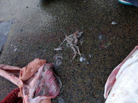 全く食い気がない中で