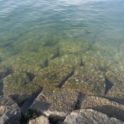 night&dayアジング