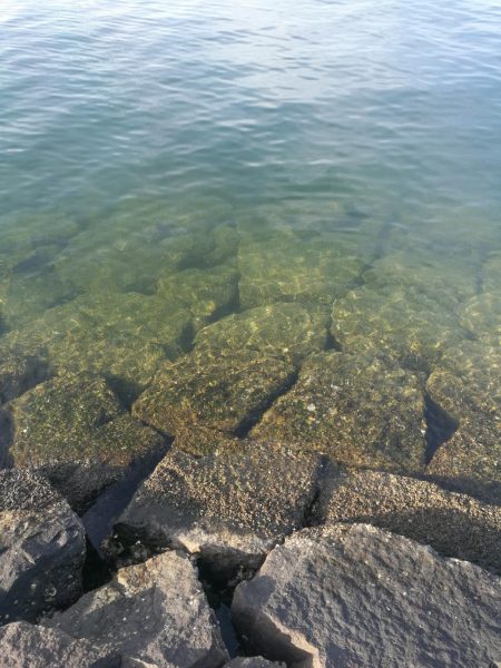 night&dayアジング