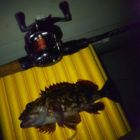 ゴムボートフィッシング