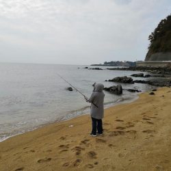 カレイ、メバル