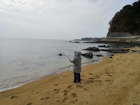 カレイ、メバル