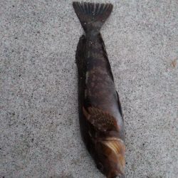 夜釣り〜朝まずめまで